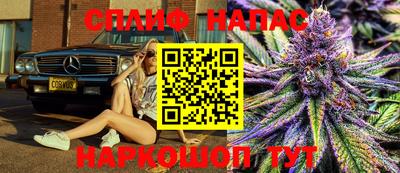 прущие грибы Кунгур