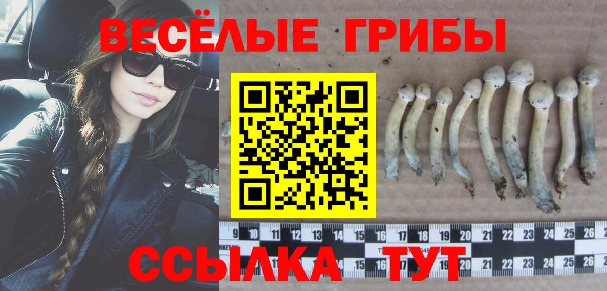 Галлюциногенные грибы ЛСД Звенигород