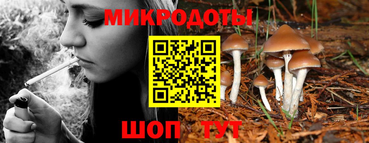 Псилоцибиновые грибы Cubensis  Вход с VPN  Звенигород  Галлюциногенные грибы ЛСД 